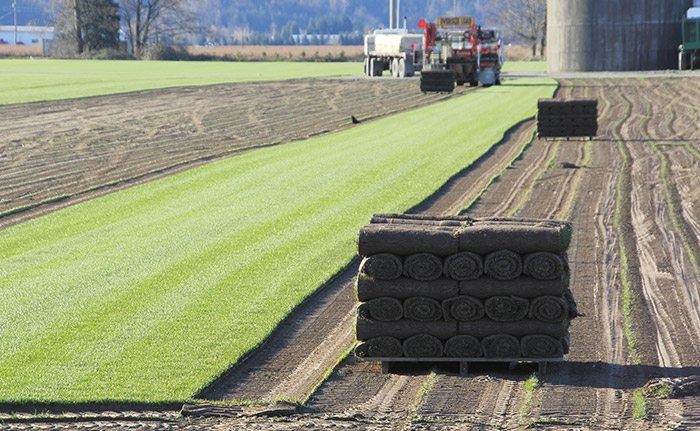 The Southeast's Leading Sod farm