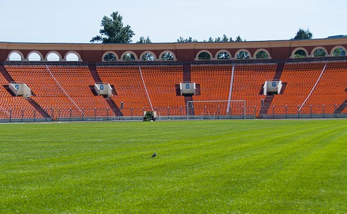 The Southeast's Leading Sod farm