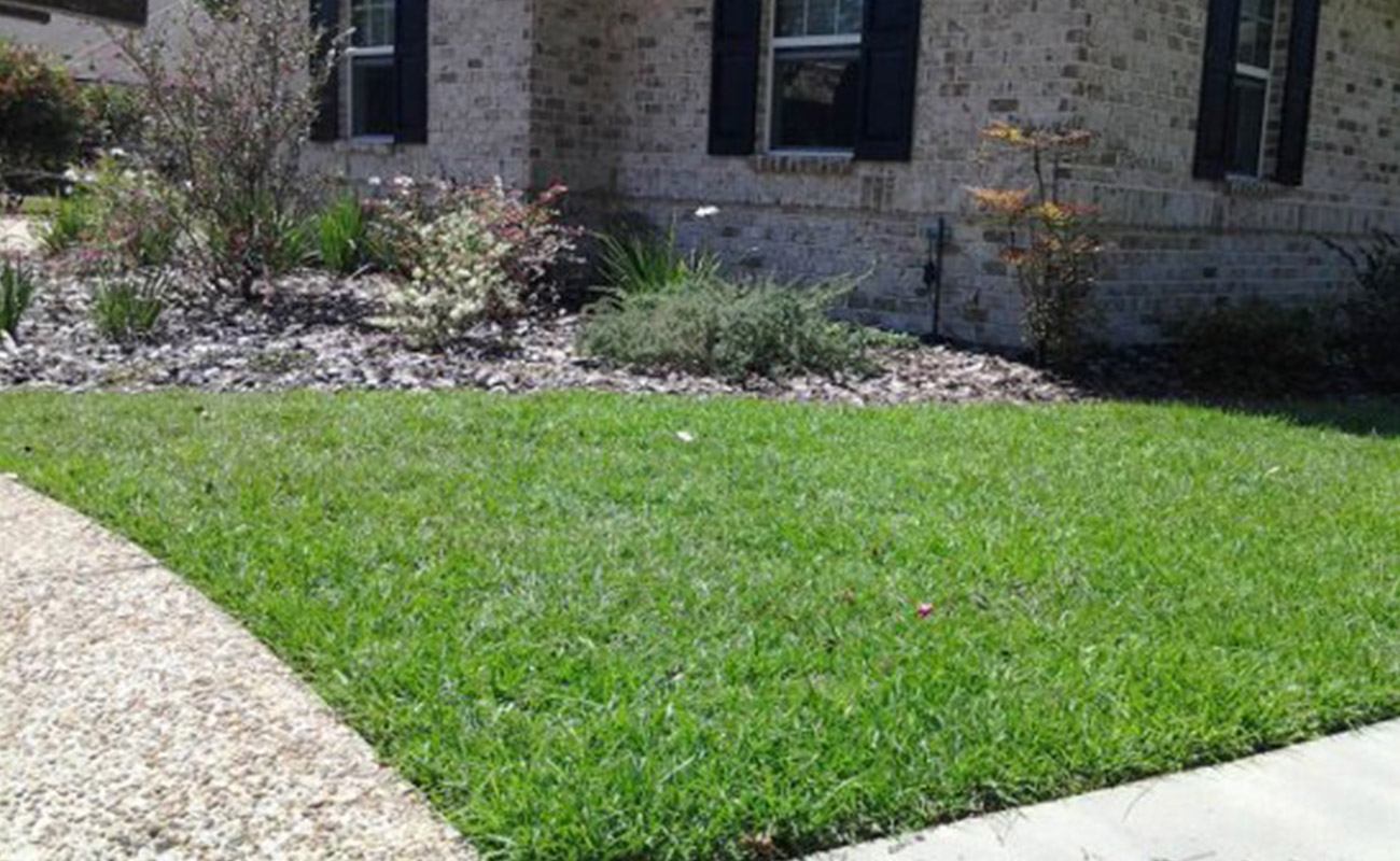 The Southeast's Leading Sod farm