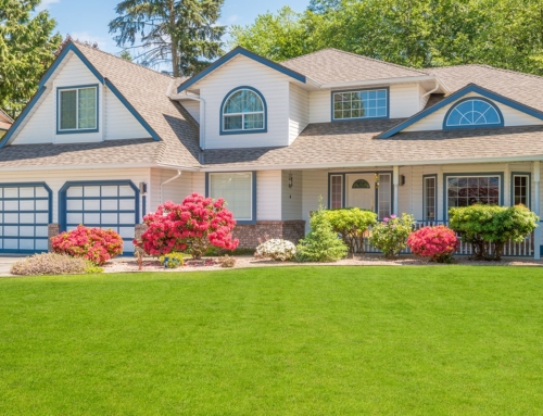 Why Sod Works for Southern Lawns