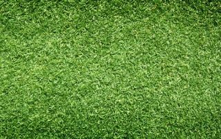 What are the Benefits of Using Empire Turf® in South Carolina?