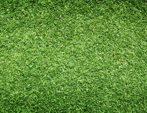 What are the Benefits of Using Empire Turf® in South Carolina?