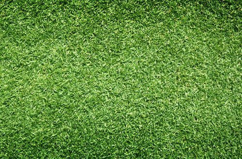 What are the Benefits of Using Empire Turf® in South Carolina?